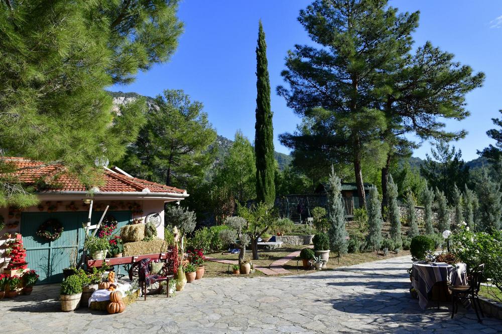zeytune farm
